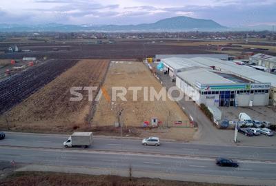 Teren intravilan DN 13 pretabil activitati comerciale - 10