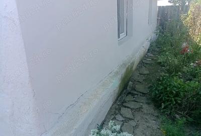 Casa de vanzare Fizes Caras-Severin - 2
