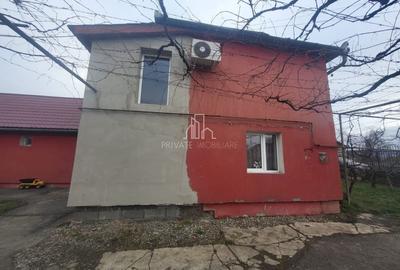 Casa de vanzare, 500Mp, Albesti, Mures - 2