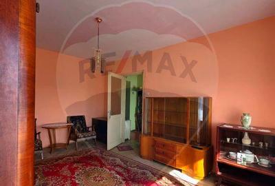 Apartament doua camere Gura Campului Medias - 12