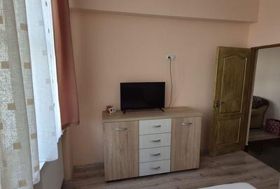 Apartament cu 2 camere în Valea Borcutului - 5