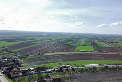 Parcele de teren - 729 mp | Amati - 3,5 km de Satu Mare - 3