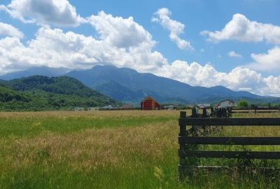 Rasnov -Glejarie 1000 mp front 42m posibilitate duplex sau 2 constructii - 4