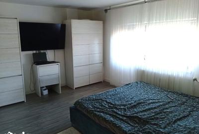 Apartament cu 3 camere decomandat în Micălaca - 10