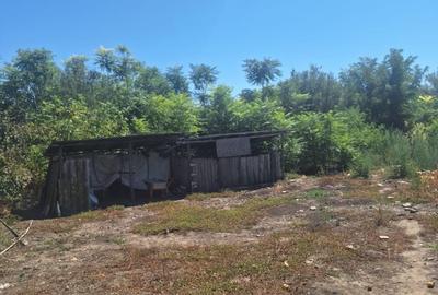 Seaca de Camp, jud. Dolj - 11