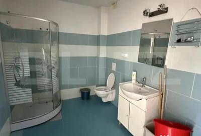 Casă cu 7 camere cu Teren 350 Mp în Făget - 2