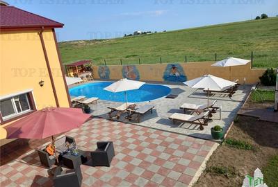 VILA CU PISCINA COSTINESTI - 3