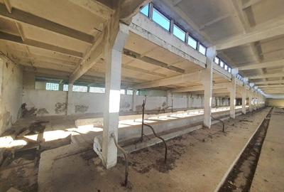 Spațiu industrial, 1800 mp în Central