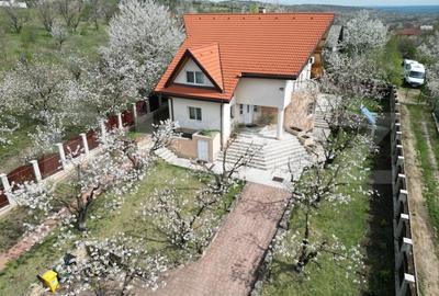 Casa boiereasca, rafinata si luxoasa cu 8 camere, 480mp, Chicerea - 5
