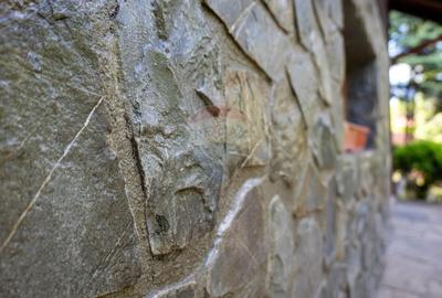 Vanzare casa de vacanta, Slanic Prahova - 33