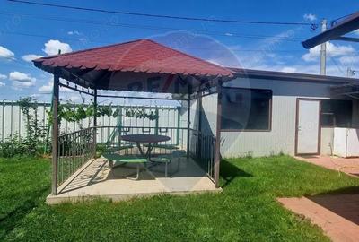 Investitie livada cu 116 pomi fructiferi in Comuna Livada - 4