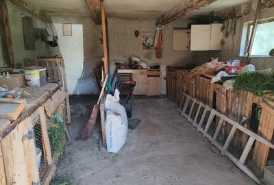 Casa 3 camere libera la vanzare TARLUNGENI - 17