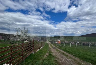 Casă cu 2 camere în Gheja - 4