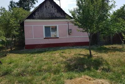 Casa de vanzare in Otve?ti aproape de Timi?oara - 1