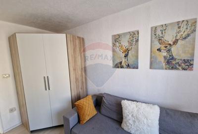 Apartament 2 camere de inchiriat in zona centrala Gradiste - 7