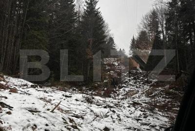 Teren unic, exclusivist  4000 mp, in inima muntilor, Sinaia - 8