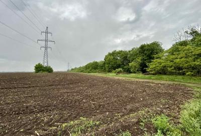 Teren agricol extravilan de 5000 mp, în Central - 4