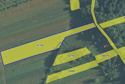 Teren de 8147 mp, în Argeșani