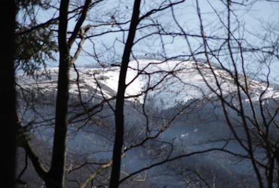 Casă cu 5 camere cu Teren 500 Mp în Central - 4