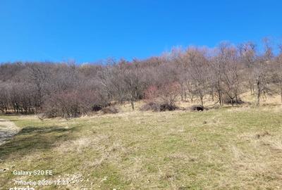 Spațiu comercial, în Prislop
