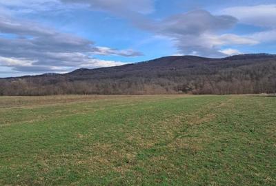 Spațiu comercial, în Central - 2