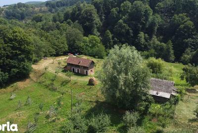 Teren de 6200 mp, în Cicănești - 7