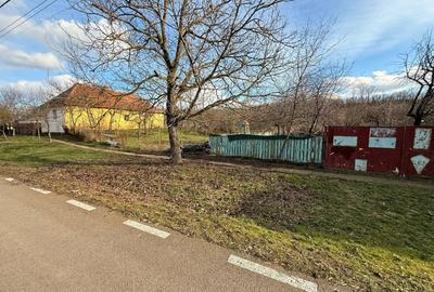 Teren în Timișoara - 7
