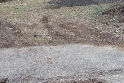 Casă cu Teren 3000 Mp în Nadanova - 3