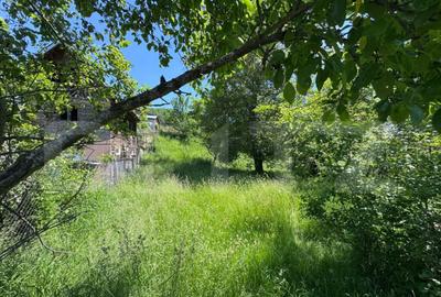 Viseaza-?i casa de vacan?a aici Teren in Bezdead de - 6