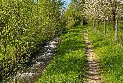 Teren de 2400 mp, în Ostrov - 1