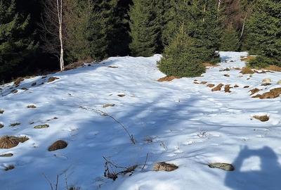 Teren de 300 mp, în Râu de Mori - 5