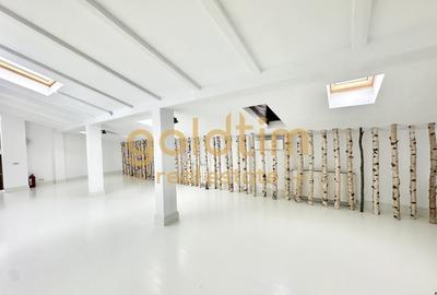 VILA INTERBELICA RENOVATA/CURTE/PRETABILA ACTIVITATI COMERCIALE/DOROBANTI - 2