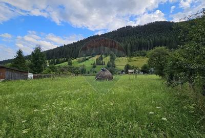 Casa 225 mp, teren intravilan 4822 mp C. Moldovenesc, Suceava - 26