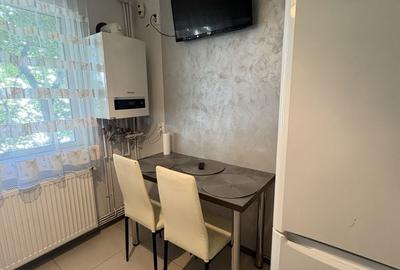 Apartament cu 2 camere în Banat - 1