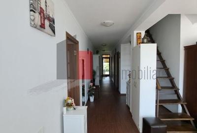 Casa individuala Valu lu Traian - teren mare 1000 mp - 10