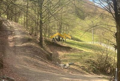 Teren de 702 mp, în Măguri - 4