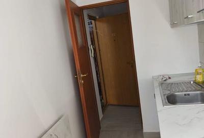 Garsoniera de vanzare Drumul Taberei Garsoniera de vanzare Drumul Taberei - 4