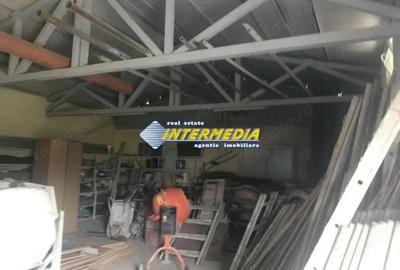 HALA CU MULTIPLE ACTIVITATI I 265 MP I TEREN 608 MP I Alba Iulia I - 3