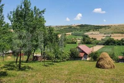 Casă cu 2 camere cu Canalizare în Dăbâca - 5