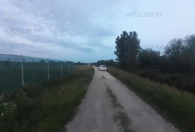 Teren aproape de Bucuresti langa padure - 9