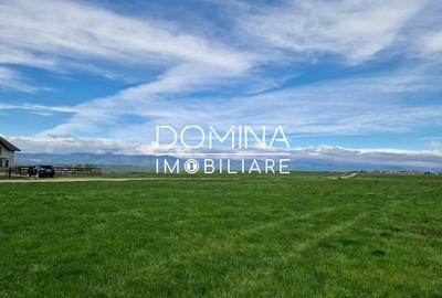 Teren agricol extravilan de 25254 mp, în Preajba - 6