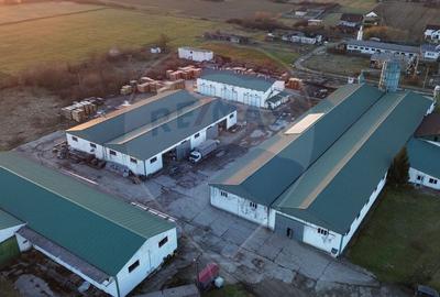 Hale de vanzare-ideale pentru depozit sau productie - 4