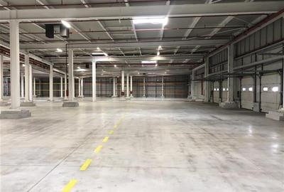Inchiriere depozit/hala/spatiu industrial Chiajna - A1 - Centura - 4