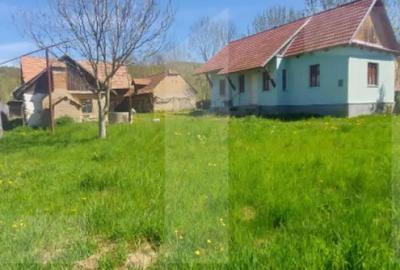 Casă cu 2 camere cu Teren 3100 Mp în Lisnău - 9