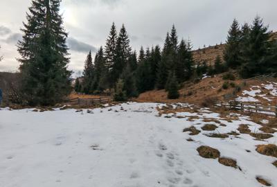 7858 mp TEREN SUPERB CU PARAU SI IZVOARE, BELIS - FANTANELE, Cluj - Transilvania - 9