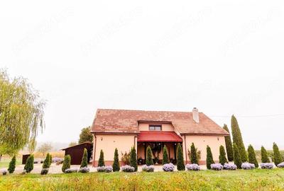 Casă cu 4 camere cu Teren 3200 Mp în Archiș - 12