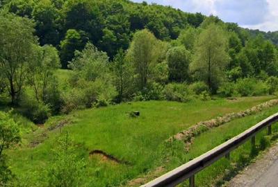 Teren de 965 mp, în Măieruș - 9