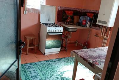 Casa de vanzare Calina,Prundeni - 3