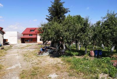 Casă cu 4 camere cu Teren 2463 Mp în Bartolomeu - 4