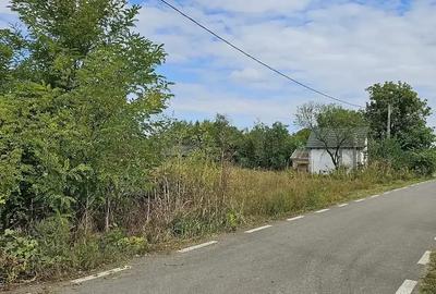 Teren intravilan 2.179 mp – Chițoiu (Chiroiu-Pământeni), IL - 5